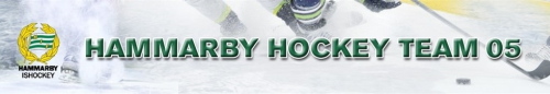 hh_team05_banner_500x.png