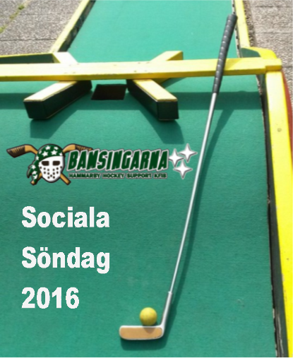 sociala_sondag_2016_puff.png